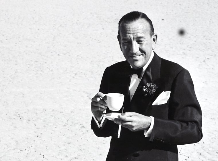Mad About the Boy: The Noël Coward Story